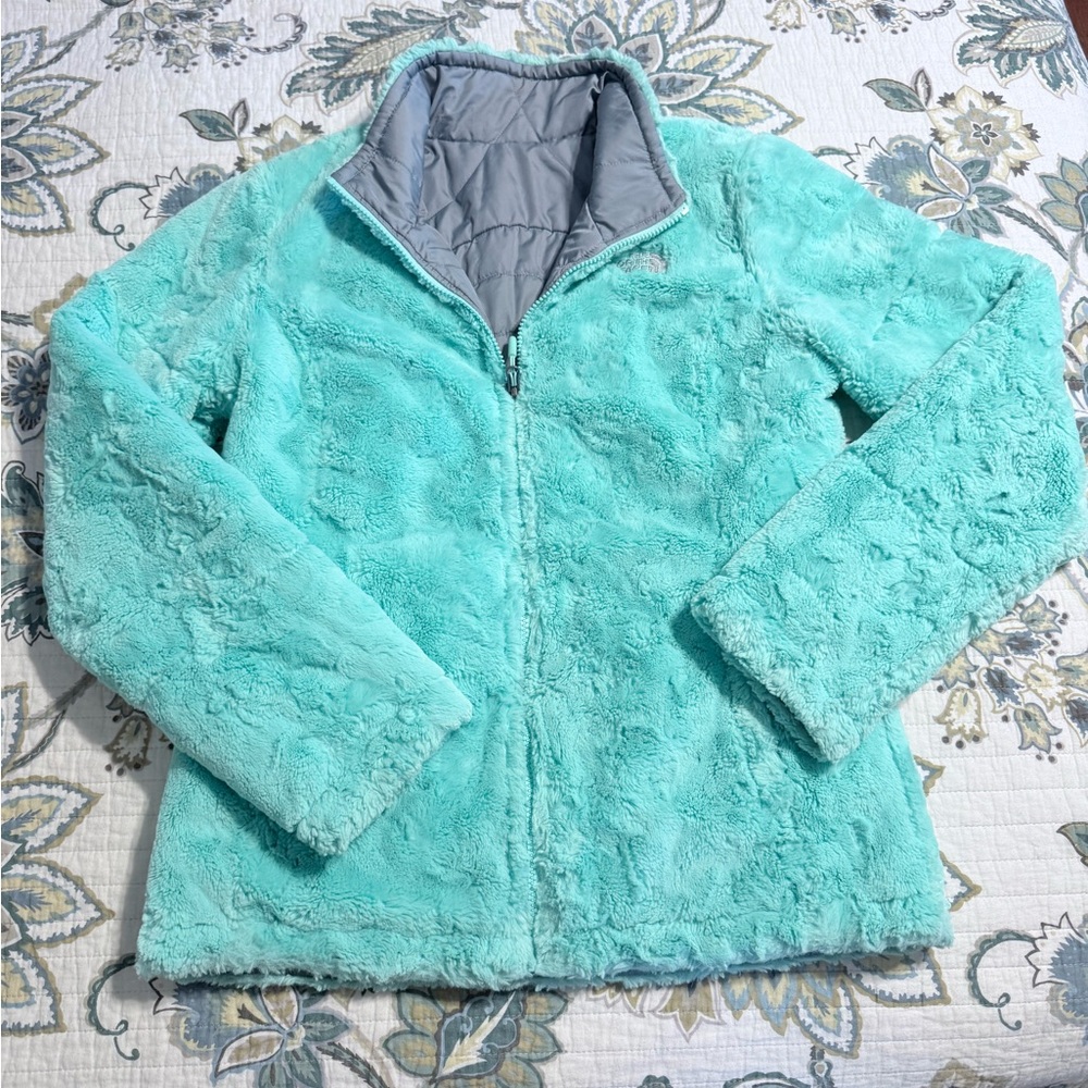 The North Face Mint Green Fuzzy Jacket